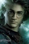 tout harry potter